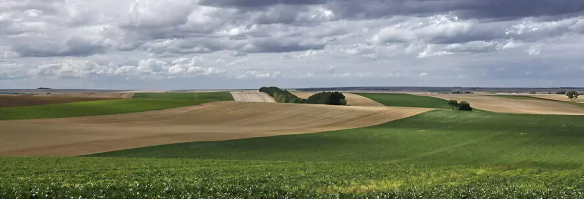 landscape with fields and grey sky