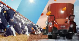 Das Keyvisual der KUHNaktuell. Fütterungstechnik 2025, welches einen Futtermischwagen zeigt, der Futter vor Kühen ausbringt und von allen 4 Jahreszeiten umspielt wird.