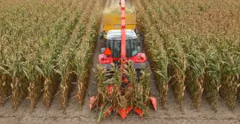 Feldhäcksler MC 180 im Einsatz