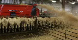 PRIMOR 15070 M beim Einsatz