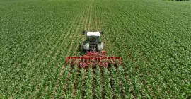 Das Hackgerät ROWLINER bei der Arbeit auf einem Feld