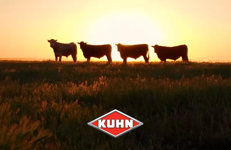 Ein Bild von 4 Kühen vor einem Sonnenuntergang und dem KUHN Logo.