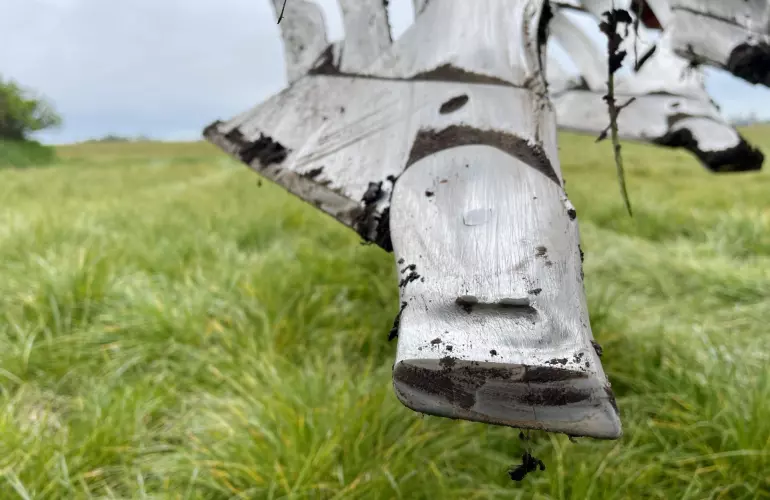 Eine Darstellung des Ergebnisses eines Tests unter realen Bedingungen an den Teilen 