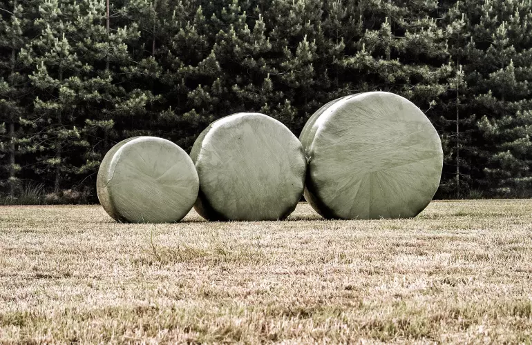 Passion for Bales - Weighing
