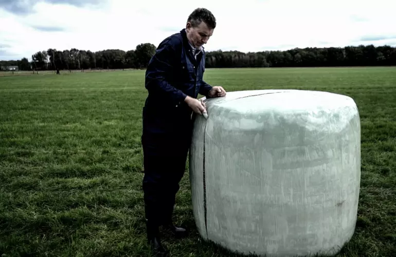 Landwirt öffnet Silageballen mit Messer.