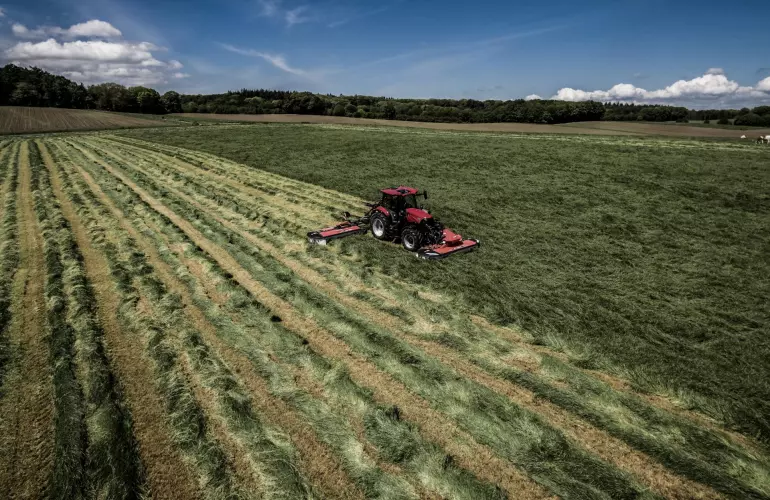 Passion for Bales Blog14 Main Picture