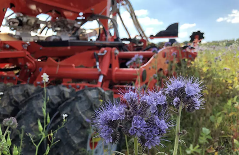 cover crop and cover residue