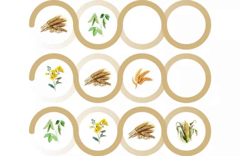 examples of crop rotation for 2,3 and 4 years