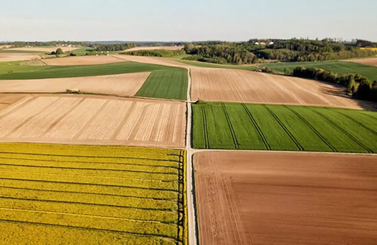 minimum tillage cultivation fields