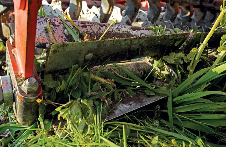 Eine Überfahrt einer Messerwalze über Pflanzenrückstände