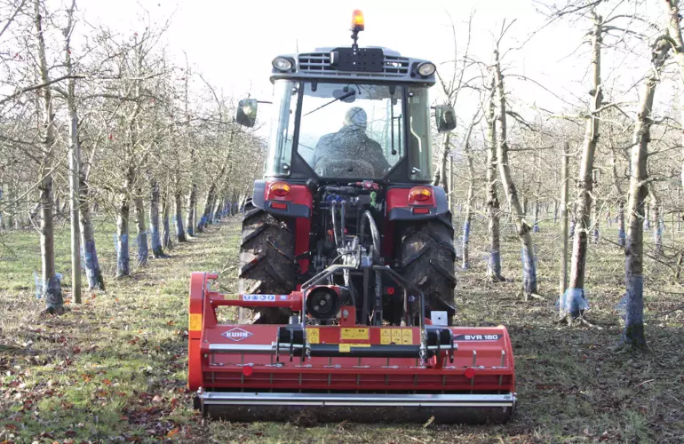 Mulchgerät für den Weinbau BV 180 bei der Arbeit