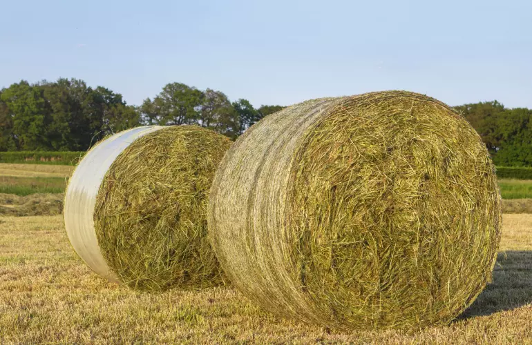 Rundballen mit Netz- und Folienbindung