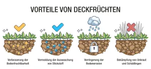 Eine Darstellung der Vorteile von Deckfrüchten