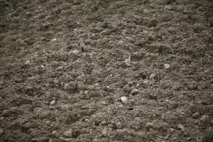 Eine Nahaufnahme trockenen Erdbodens mit einigen Steinen