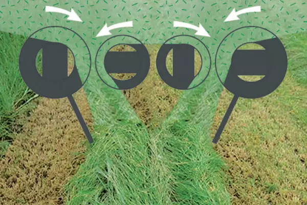 Die unterschiedlich dimensionierten Messerteller legen ein sauberes Schwad.