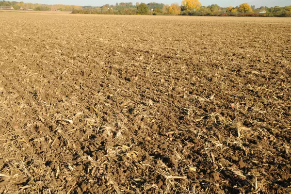 Mit dem PERFORMER: Gleichmäßige Einebnung und Rückverfestigung der gesamten bearbeiteten Fläche 
