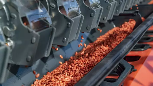 Führen Sie die Abdrehprobe ganz einfach durch, damit Sie mit der Drillmaschine SITERA 3030 in aller Ruhe und Gelassenheit säen können.