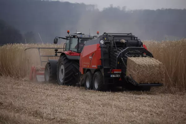 Die Ernte von Miscanthus oder Energiepflanzen mit dem Mulchgerät WS 320 BIO, das drei Arbeitsgänge in einem Durchgang erledigt. 