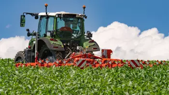 Foto der Reihenhacke ROWLINER in Mais, 9-blättriges Stadium