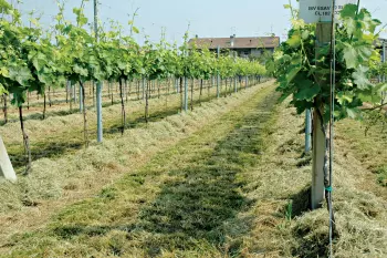 Bei den SDS-Mulchgeräten wird das Gras in der Reihe abgelegt.