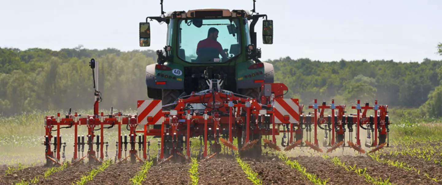A green tractor pulls a row crop cultivator Rowliner across a field with emerging green crop rows, working the soil between planted rows in a rural agricultural setting