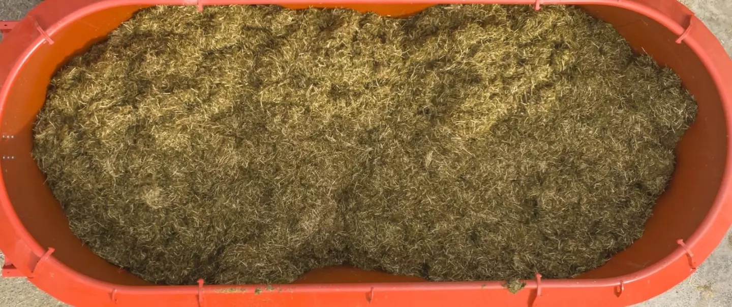 Homogenes Mischen mit zwei Vertikalschnecken