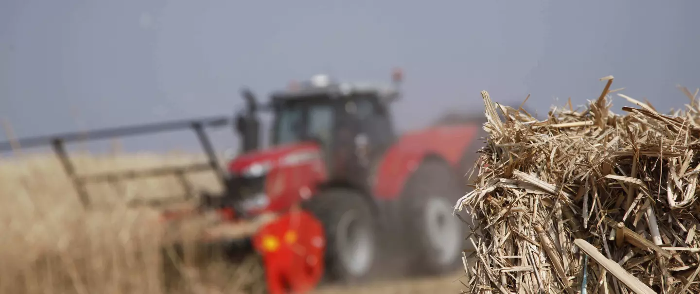 Die Ernte von Miscanthus oder Energiepflanzen mit dem Mulchgerät WS 320 BIO und seine zahlreichen Vorteile.